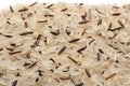 Wild and long polished rice