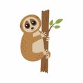 Wild loris on the branch. Vector illustration Royalty Free Stock Photo