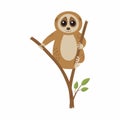 Wild loris on the branch. Vector illustration Royalty Free Stock Photo