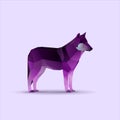 Polygonal wolf illustration in deep purple colors