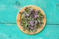 Wild marjoram oregano medical flowers in wooden plate Royalty Free Stock Photo