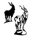 Wild markhor mountain goat standing on rock black and white vector silhouette and outline