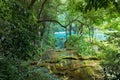 Wild Mayan jungle in the national park Semuc Champey Guatemala Royalty Free Stock Photo