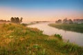 Wild meadow, blooming flowers. Beautiful summer sunrise rural landscape Royalty Free Stock Photo