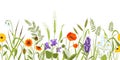 Wild meadow with flowers and herbs, spring botanical seamless border. Wildflower field with plants, ears and grass