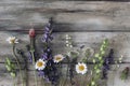Wild meadow flowers on old wooden table background. Decorative frame, floral banner. Blooming crimson clover, white Royalty Free Stock Photo