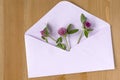 Wild meadow flowers with open paper envelop on wooden background. Flat lay. Top view.