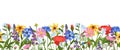 Wild meadow flowers seamless border. Beautiful field herbs, decorative blossom plants, spring summer botany herbal Royalty Free Stock Photo