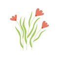Wild meadow flowers. Vector colorful hand drawn