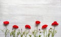 Wild meadow flowers on wooden background with copy space Royalty Free Stock Photo