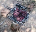 Wild meat is roasted on coals in a metal grill Royalty Free Stock Photo