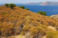 Wild Mediterranean coastline