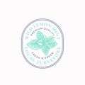 Wild Mint Frame Badge or Logo Template. Hand Drawn Menthol Leaves Branch Sketch with Retro Typography and Borders