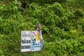 Wild monkey sits on a road sign and eats a banana Royalty Free Stock Photo