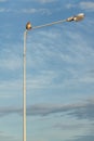 Wild Monkey On a Tall Lamp Post Against Blue Sky in Thailand