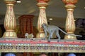 wild monkeys at batu cave temple ÃÂ­n kuala lumpur