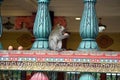 wild monkeys at batu cave temple ÃÂ­n kuala lumpur