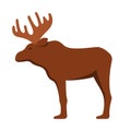Wild moose flat style vector illustration. Wild animal vector.