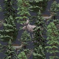 Wild moose and reindeers surrounded by coniferous trees