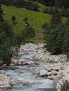 Wild mountain creek downstream in summer Royalty Free Stock Photo