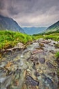 Wild mountain creek in Hlinska dolina valley in High Tatras