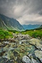 Wild mountain creek in Hlinska dolina valley in High Tatras