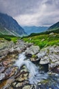 Wild mountain creek in Hlinska dolina valley in High Tatras