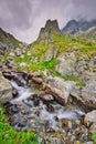 Wild mountain creek in Hlinska dolina valley in High Tatras