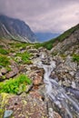 Wild mountain creek in Hlinska dolina valley in High Tatras