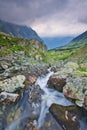 Wild mountain creek in Hlinska dolina valley in High Tatras