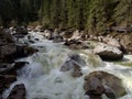 Wild mountain creek with stones Royalty Free Stock Photo