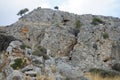 Wild Mountain Goats Climb Down Steep Rocky Mountains. Rhodes Island, Greece