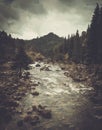 Wild mountain river flowing through the deep green forest. Royalty Free Stock Photo