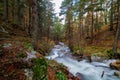 Wild mountain river. Mountain landscape. Autumn colors in the mountains of Madrid. Royalty Free Stock Photo