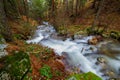 Wild mountain river. Mountain landscape. Autumn colors in the mountains of Madrid. Royalty Free Stock Photo