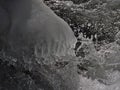 Wild mountain stream near Todtnau, Germany in the Black Forest hills in winter with water spray and ice formation. Royalty Free Stock Photo