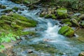 Wild Mountain Trout Stream in the Forest - 3 Royalty Free Stock Photo