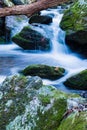 Wild Mountain Trout Stream, Jefferson National Forest Royalty Free Stock Photo