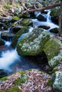 Wild Mountain Trout Stream, Jefferson National Forest Royalty Free Stock Photo