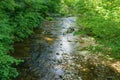 Wild Mountain Trout Stream Royalty Free Stock Photo