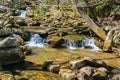 Peaceful Trout Stream on Little North Mountain