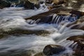 Wild Mountain Trout Stream