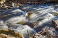 Wild Mountain Trout Stream and Shadows Royalty Free Stock Photo