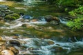 Wild Mountain Trout Stream Royalty Free Stock Photo