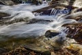 Wild Mountain Trout Stream Royalty Free Stock Photo