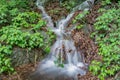Wild Mountain Waterfall in the Blue Ridge Mountain Royalty Free Stock Photo