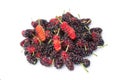 Wild mulberry Royalty Free Stock Photo