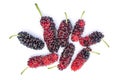 Wild mulberry Royalty Free Stock Photo