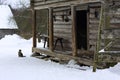 Wild multicolor tabby cat. A homeless cat sits on a wooden bench against the background of an old log wooden house.