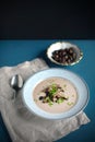 Wild mushroom chowder with forest chestnut, autumn meal Royalty Free Stock Photo